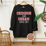 DST Crimson and Cream Sweatshirt, Black Sweatshirt with red and white text